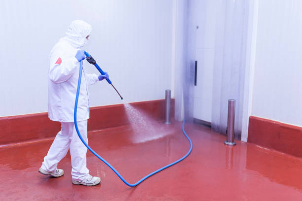 Best Dumpster Area Cleaning  in Libby, MT