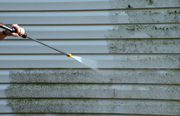 Best Patio and Deck Pressure Washing  in Libby, MT